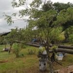 WhatsApp Image 2023-12-30 at 5.38.46 PM