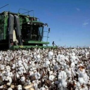 Imagen de WhatsApp 2025-06-21 a las 11.42.25_82856fc3