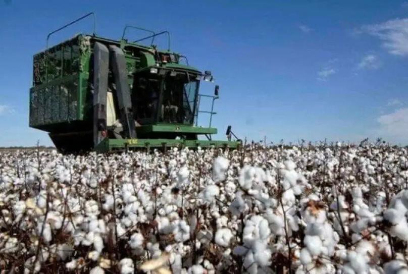 Imagen de WhatsApp 2025-06-21 a las 11.42.25_82856fc3