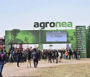 Imagen de WhatsApp 2025-06-23 a las 08.15.08_fb48478a