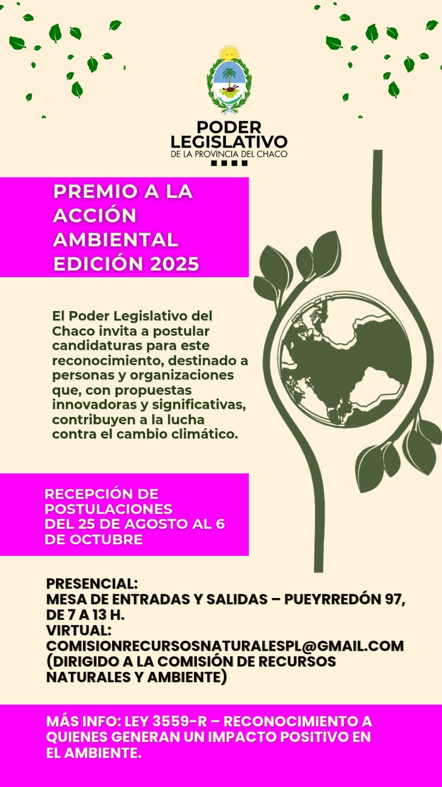 WhatsApp Image 2025-08-19 at 12.49.32 PM