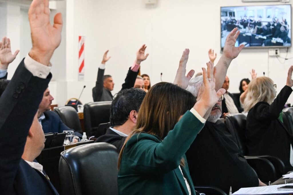 WhatsApp Image 2025-10-01 at 3.46.45 PM (2)