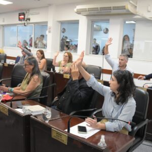 WhatsApp Image 2025-12-17 at 8.17.27 PM (1)